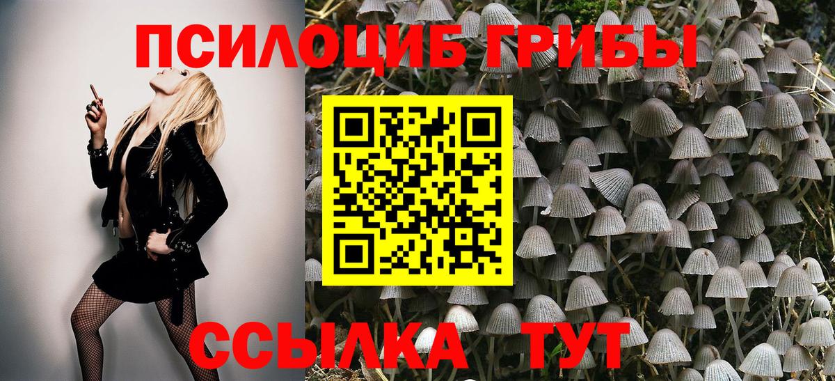 Галлюциногенные грибы ЛСД  Вход с VPN  Шадринск  Галлюциногенные грибы Psilocybine cubensis 