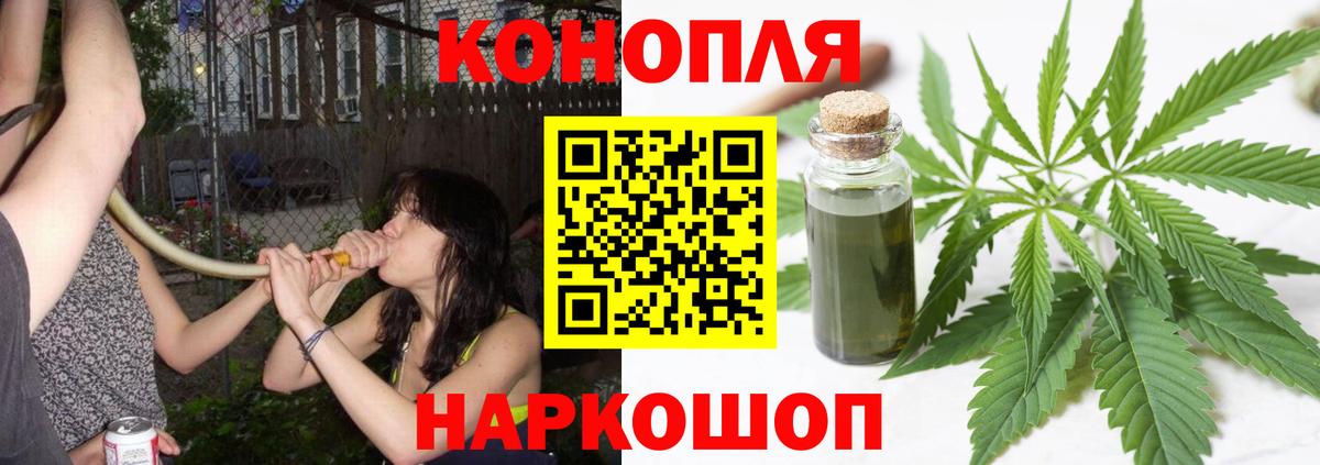 Шишки марихуана гибрид  Конопля THC 21%  Вход с VPN  Шадринск  МАРИХУАНА план  Канабис Ganja 